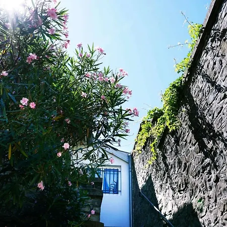 Lägenhet Mona Lisa Keyweek Duplex In Close To The Beach *